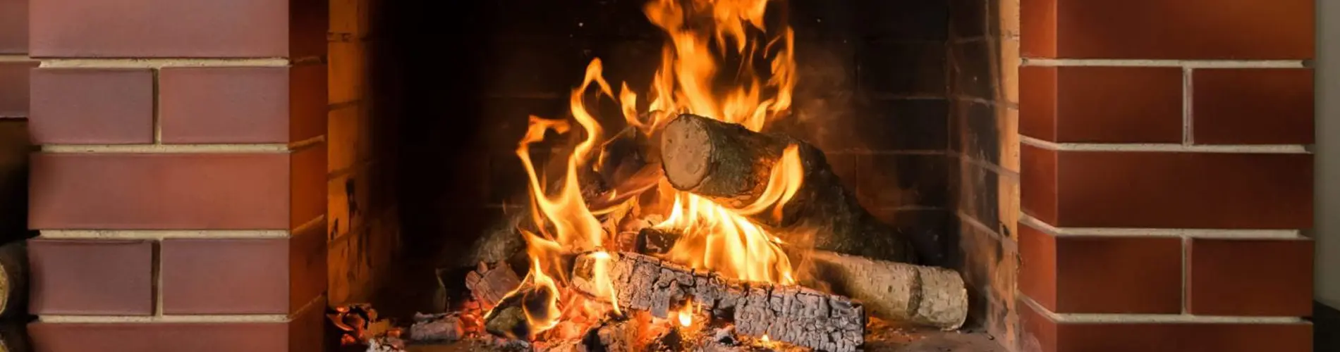 Wood Burning Fire Place