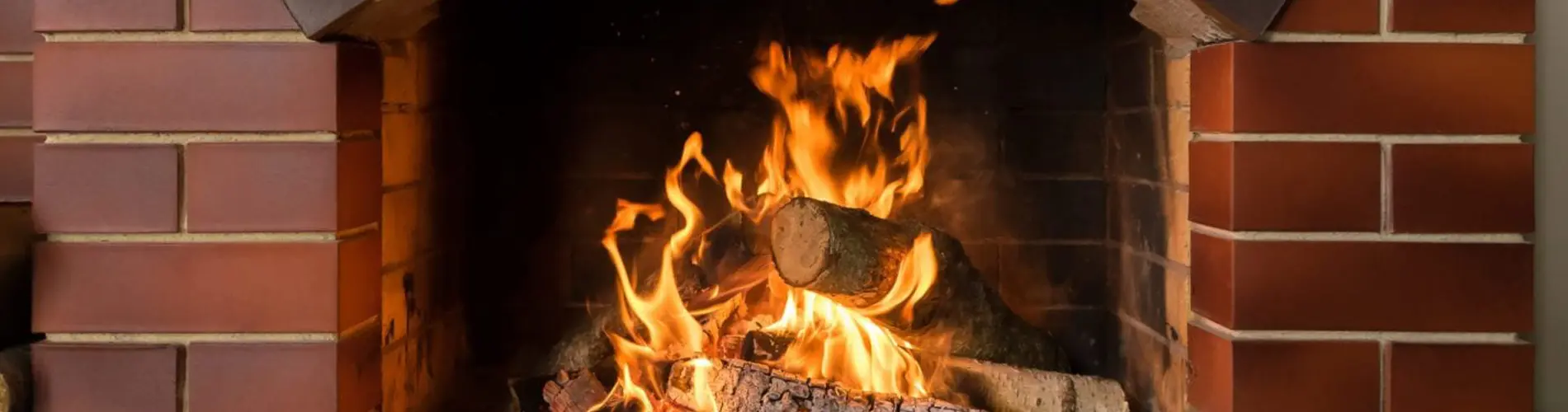 Wood Burning Fire Place